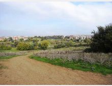 560-8b437ffbcae86c85684b788c32145582jpg