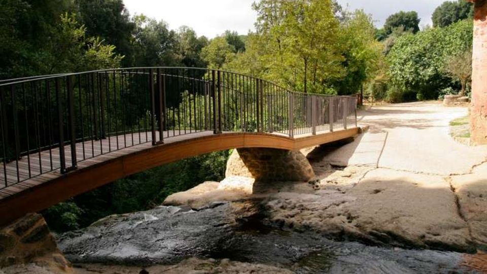 51877-photo-39956599-jpgjpg