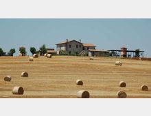 Casale rurale in pietra con tetto in tegole su una collina, affiancato da annessi agricoli e piccoli alberi. In primo piano si estende un campo di grano mietuto con numerose balle di fieno cilindriche sparse.