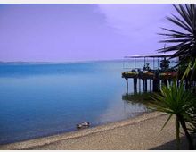 1232-4081eb4f3ca3112818a9e45159445175jpg