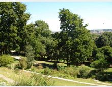 Vista panoramica di un parco collinare con ampi prati e alberi ad alto fusto, attraversato da sentieri. Sullo sfondo si intravede una zona urbana in lontananza sotto un cielo sereno.