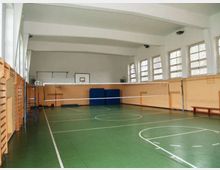 Palestra scolastica indoor con pavimento verde segnato per più sport e rete da pallavolo al centro. Lungo le pareti ci sono alte finestre, spalliere in legno, una panchina e un canestro da basket sul fondo.