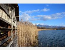 51994-photo-2377682-m-jpgjpg