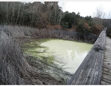 612-0d6a7ba513bff0a15bea8fc17522e10cjpg