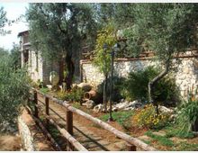 Vialetto in pietra con staccionata in legno che attraversa un giardino mediterraneo con ulivi, aiuole fiorite e grandi anfore in terracotta. Sullo sfondo si vede un muro in pietra con lampioni e un edificio rustico in pietra.