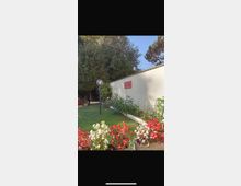Giardino residenziale con prato verde, aiuole di fiori rossi e bianchi e una lampada da esterno a globo. Sul lato destro c’è un lungo muro chiaro con una targhetta, bordato da piante e fiori, con alberi alti sullo sfondo sotto un cielo sereno.