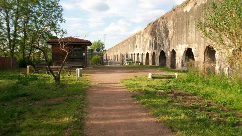 51924-photo-21151454-jpgjpg