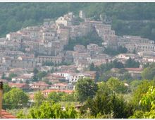 Veduta panoramica di un borgo collinare con case in pietra addossate tra loro e tetti in coppi, disposto a gradoni sul pendio. Sullo sfondo si vede una collina boscosa, con vegetazione verde in primo piano.