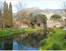 987-19eb7144da4946e233b8b0f19d8f5df8jpg