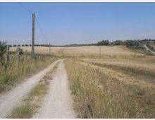 Strada sterrata di campagna che attraversa campi di grano mietuti, con recinzione e palo della luce lungo il bordo sinistro. All’orizzonte si vedono dolci colline con alberi e un piccolo gruppo di case sotto un cielo limpido.