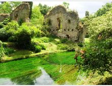 52196-photo-giardino-di-ninfa-79-jpgjpg