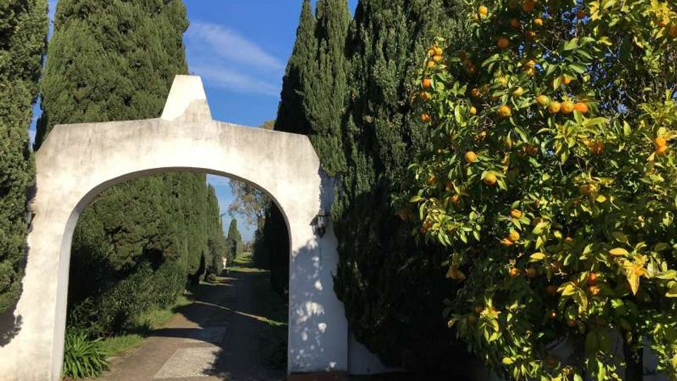 Arco d’ingresso in muratura bianca che apre su un viale alberato con alti cipressi, sotto un cielo sereno. In primo piano si vede una pavimentazione a mosaico e, sulla destra, un agrumeto con frutti arancioni.