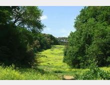 52059-photo-foto-insugherata-web-5-1-jpgjpg