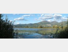 931-a9af4bb6497ca3f903e513a0843b721djpg