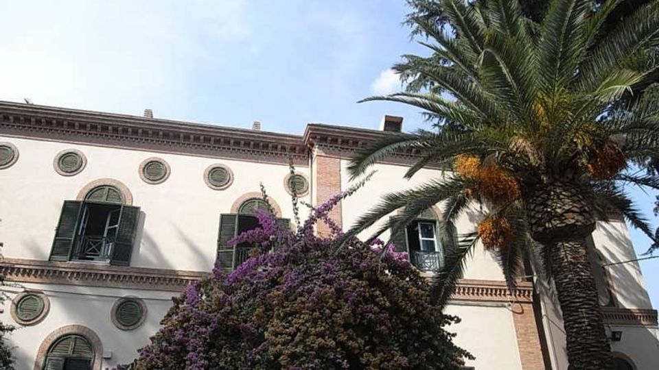Facciata di un edificio storico chiaro con cornici decorative e finestre ad arco con persiane verdi, vista dal basso. In primo piano si vedono una grande palma e una bouganville fiorita che coprono parzialmente l’edificio.