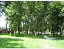 Parco alberato con molti alberi ad alto fusto e ampie aree di prato verde. Un sentiero chiaro curva tra gli alberi, con alcuni edifici bassi visibili sullo sfondo.
