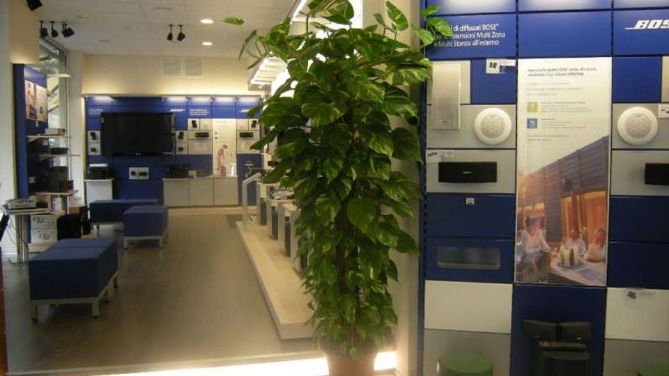 Interno di uno showroom di prodotti audio con pareti espositive blu e bianche, pannelli e apparecchiature a parete e un’area dimostrativa con sedute e schermi. In primo piano c’è una grande pianta in vaso, con pavimento in legno e illuminazione a soffitto.