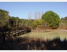 52145-photo-laghetto-tor-caldara-jpgjpg