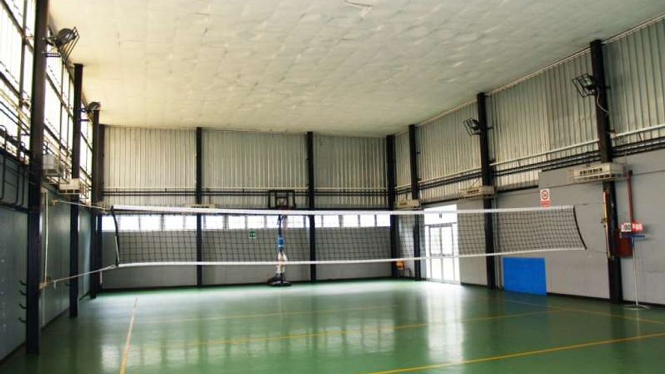Interno di una palestra o palazzetto con campo da pallavolo, pavimento verde con linee gialle e rete tesa al centro. Pareti in lamiera e travi metalliche, ampie finestre laterali e luci industriali sotto un soffitto alto.