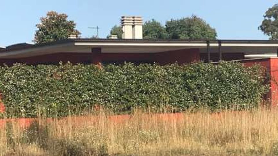 53201-photo-img-5721-jpgjpg