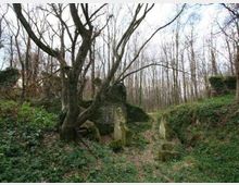 55912-photo-201342-orig-jpgjpg