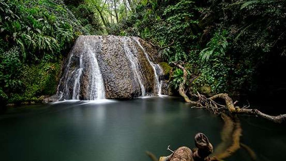 Piccola cascata che scende su una parete rocciosa in una pozza d’acqua calma, circondata da vegetazione fitta e alberi. In primo piano si vedono rami e tronchi caduti che sporgono verso l’acqua.