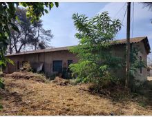 58029-photo-img-20210616-095425-jpgjpg