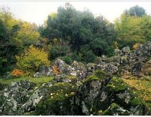 52575-photo-riserva-di-monte-rufeno-1-jpgjpg