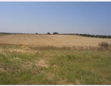 Ampia distesa di campi coltivati e prati erbosi in una zona rurale pianeggiante, con leggere ondulazioni e tracce nei campi. All’orizzonte si vede una linea di alberi sotto un cielo limpido.