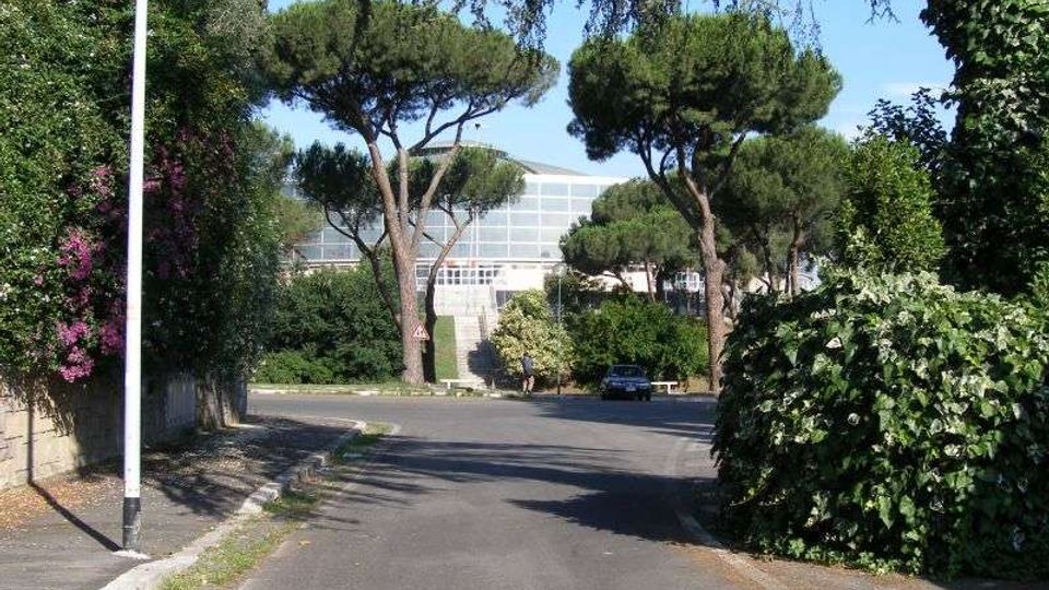 Strada asfaltata curva in un’area verde, fiancheggiata da siepi e alberi ad alto fusto, con un lampione e un marciapiede sul lato sinistro. Sullo sfondo si intravede un grande edificio moderno con facciata in vetro e struttura reticolare.