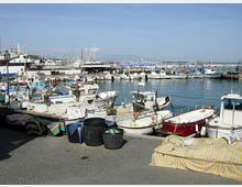 Porto turistico con numerose piccole imbarcazioni e barche da pesca ormeggiate lungo la banchina. In primo piano si vedono teli e contenitori sul molo, con acqua calma e molte barche a vela sullo sfondo.