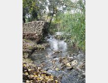 560-ba711b2bb3759fa5b5294f22213a808bjpg