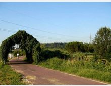 Pista ciclabile asfaltata che attraversa una zona rurale, con un arco di vegetazione che copre parzialmente il percorso. Ai lati ci sono prati e cespugli, con cavi elettrici e un traliccio sullo sfondo sotto un cielo sereno.
