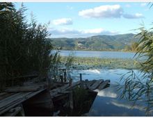 931-74b9791c9536e60ac7b1c422b85c43a5jpg