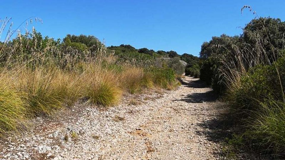 576-c707e8e899a60a34620ef354a7f6b767jpg