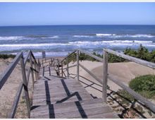 Passerella e scala in legno con corrimano che scende tra dune di sabbia e vegetazione verso una spiaggia. Sullo sfondo si vede il mare aperto con onde e l’orizzonte sotto un cielo sereno.