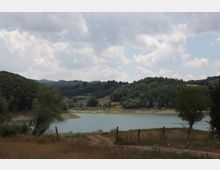 49501-photo-4-jpgjpg