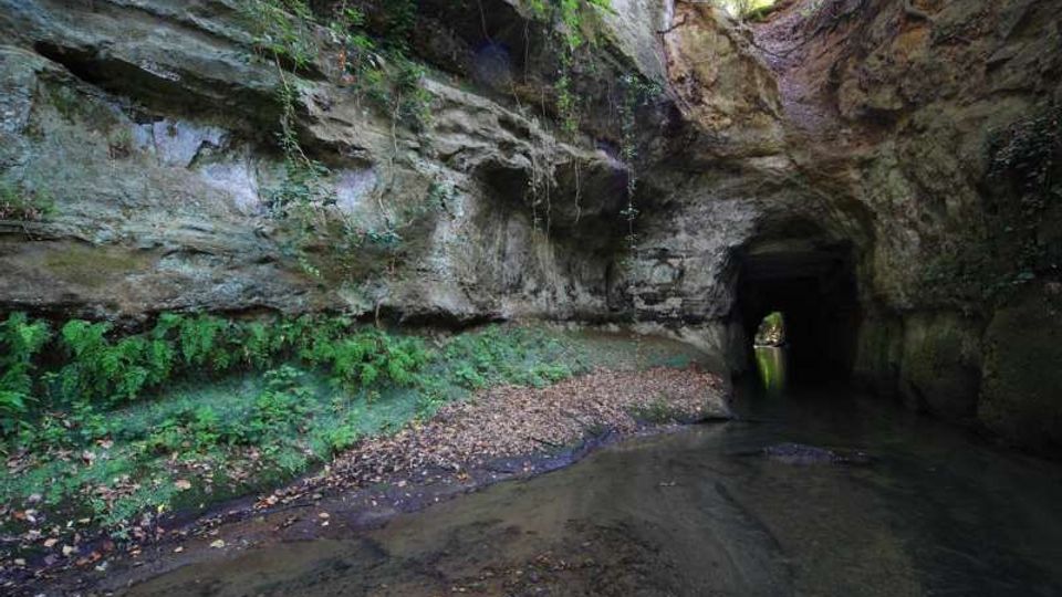 Gola rocciosa con pareti stratificate e muschio, attraversata da un ruscello poco profondo con foglie sul fondo. A destra si apre un tunnel naturale nella roccia, con vegetazione che pende dall’alto e luce visibile in lontananza.