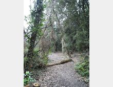 612-d49621d6473218c5e9de359f580bdee6jpg