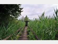 52121-photo-20-big-jpgjpg