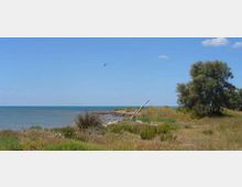 52092-photo-676-jpgjpg