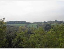 560-8451001bbf5a29683a34d2d2274e5278jpg