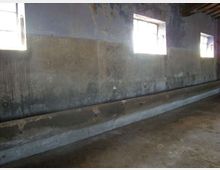 Interno di un edificio rurale con pareti intonacate e macchiate e tre finestre rettangolari alte che lasciano entrare luce. Lungo la parete corre una lunga canalina in cemento con attacchi metallici, su pavimento grezzo e soffitto con travi a vista.