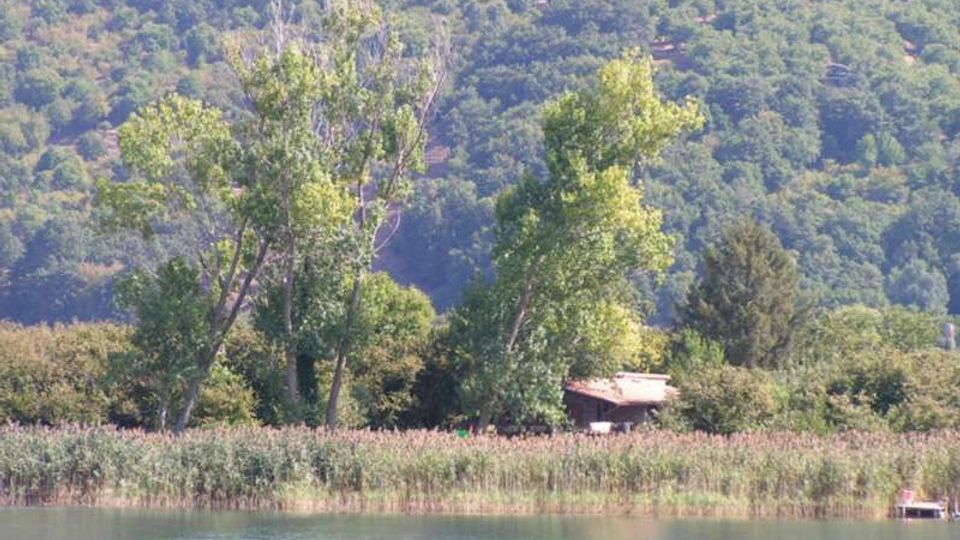 209-8f37a10ac470850da4a99ef9085bd3bejpg