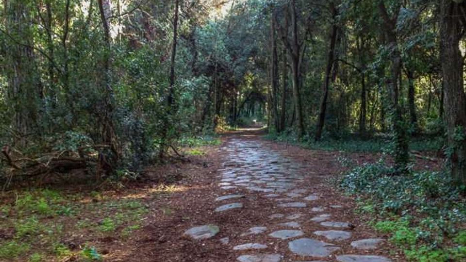 51935-photo-parco-di-castel-fusano-e1521527347140-jpgjpg