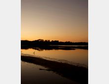 Veduta di una laguna o fiume calmo al tramonto, con acqua riflettente e basse lingue di sabbia in primo piano. All’orizzonte si vede una linea di alberi in silhouette sotto un cielo sfumato dal giallo all’arancione.