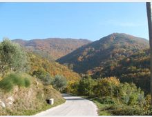 Strada di campagna asfaltata e tortuosa che attraversa una valle, con vegetazione ai lati e colline boscose sullo sfondo. Le pendici montane mostrano colori autunnali sotto un cielo sereno.
