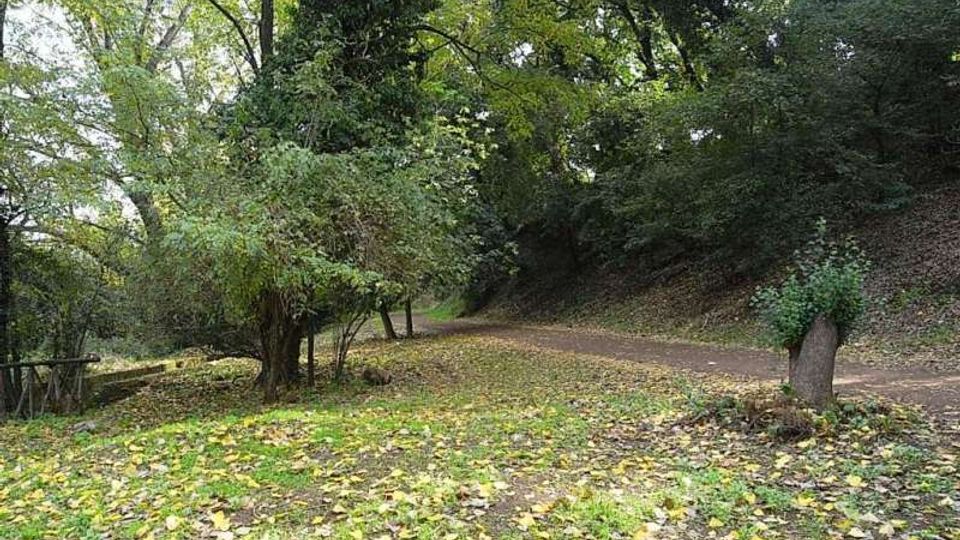 560-7683f55ba40596b23daeeb28da9eacaajpg