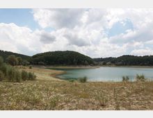 49507-photo-12-jpgjpg