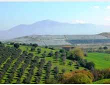 51840-photo-discarica-uliveti-jpgjpg